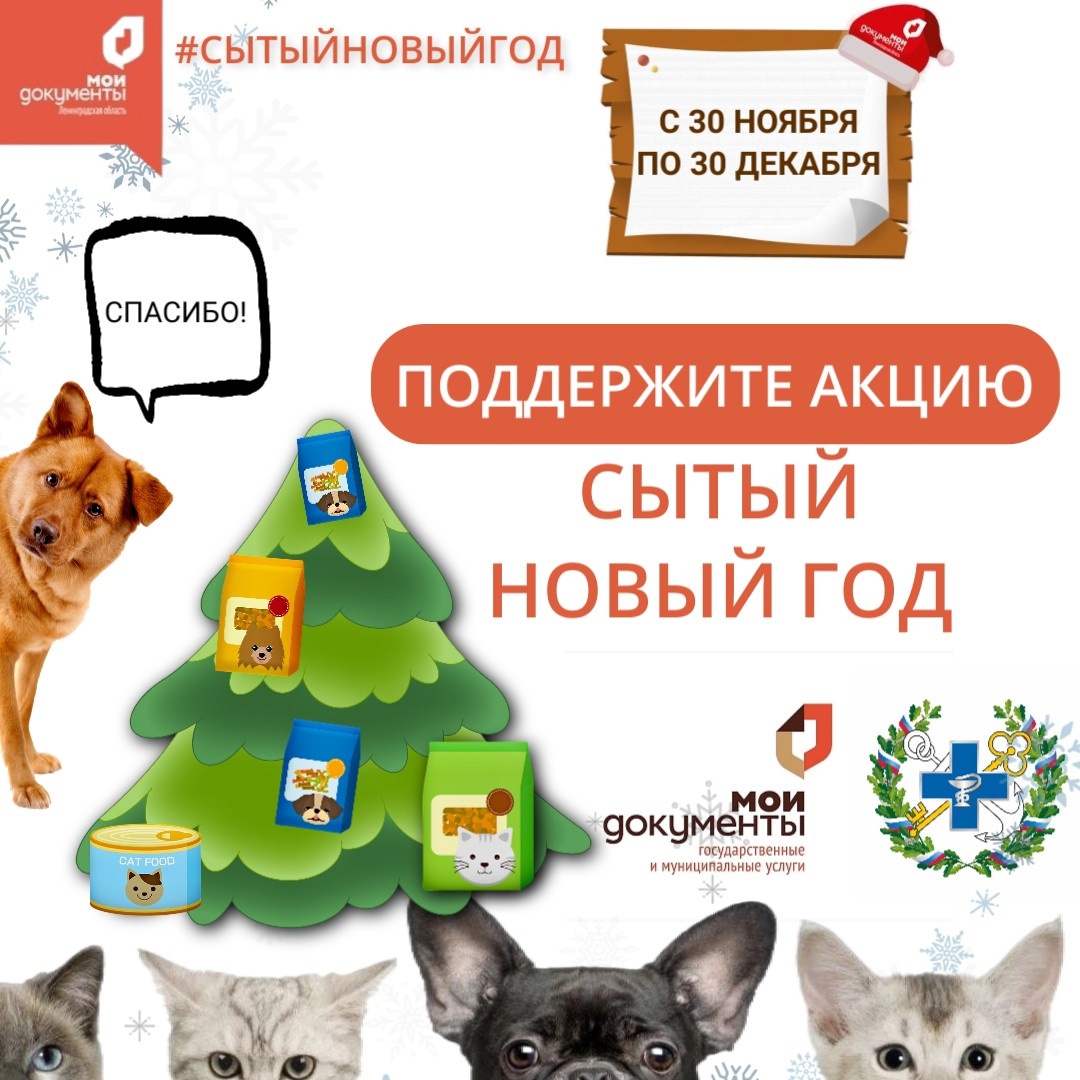МФЦ проводит акцию "Сытый Новый год" в целях поддержки приютов для бездомных животных